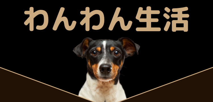わんわん生活